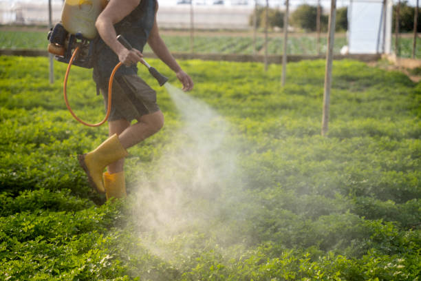 Best Exterminator Services  in Egypt, AL