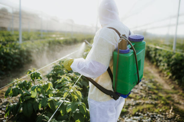 Best Rat Extermination Near Me  in Egypt, AL